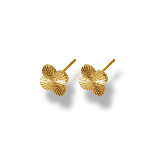 Pendientes Clovi