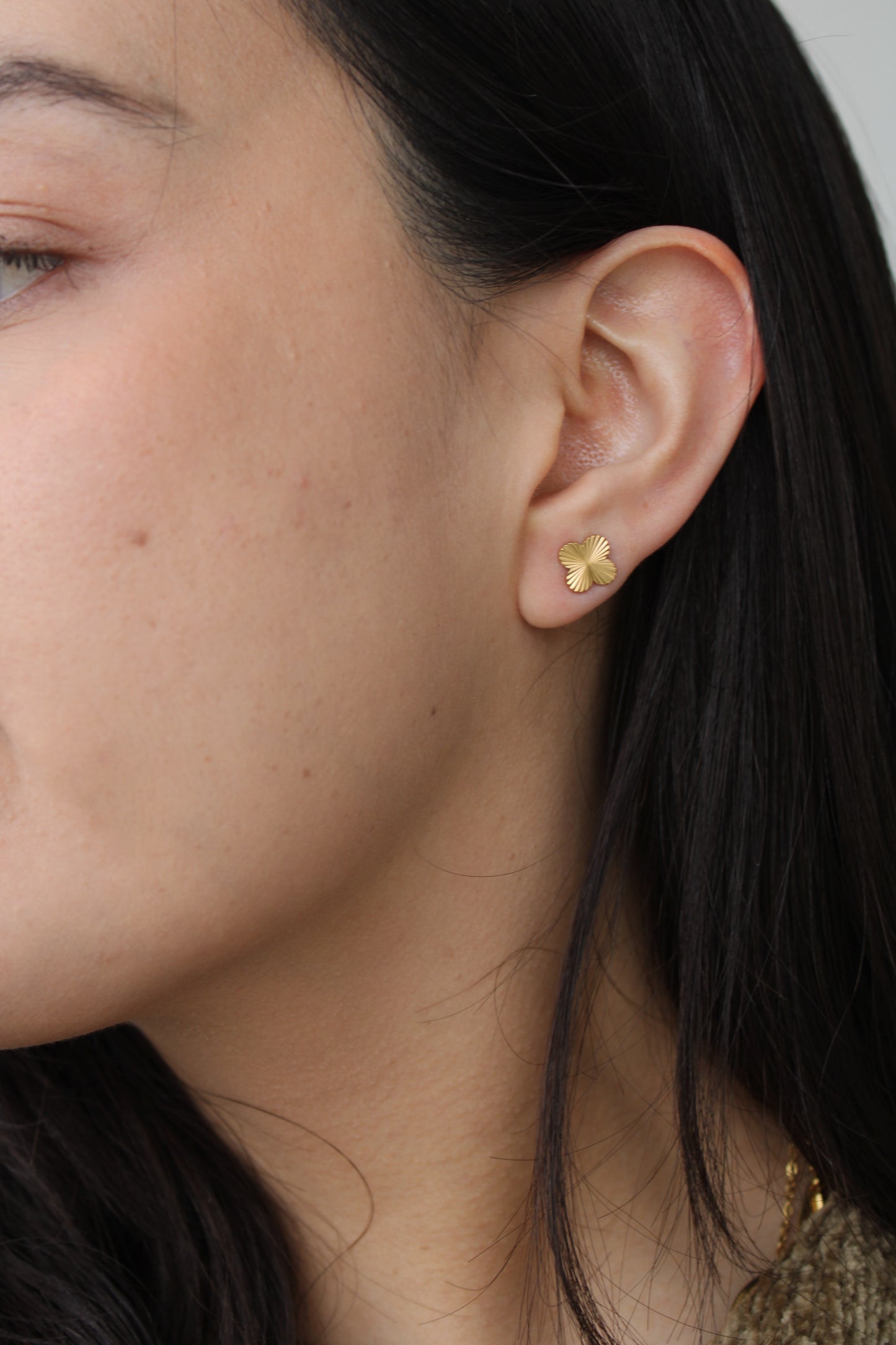 Pendientes Clovi
