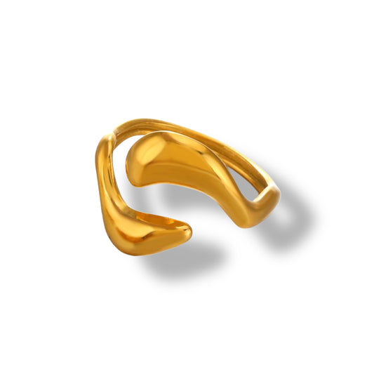 Anillo Yang