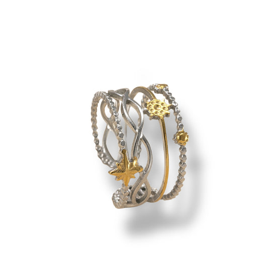 Anillo Láctea
