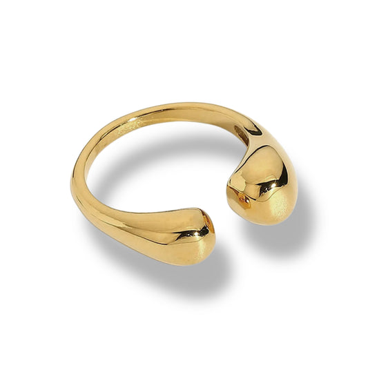 Anillo Pope