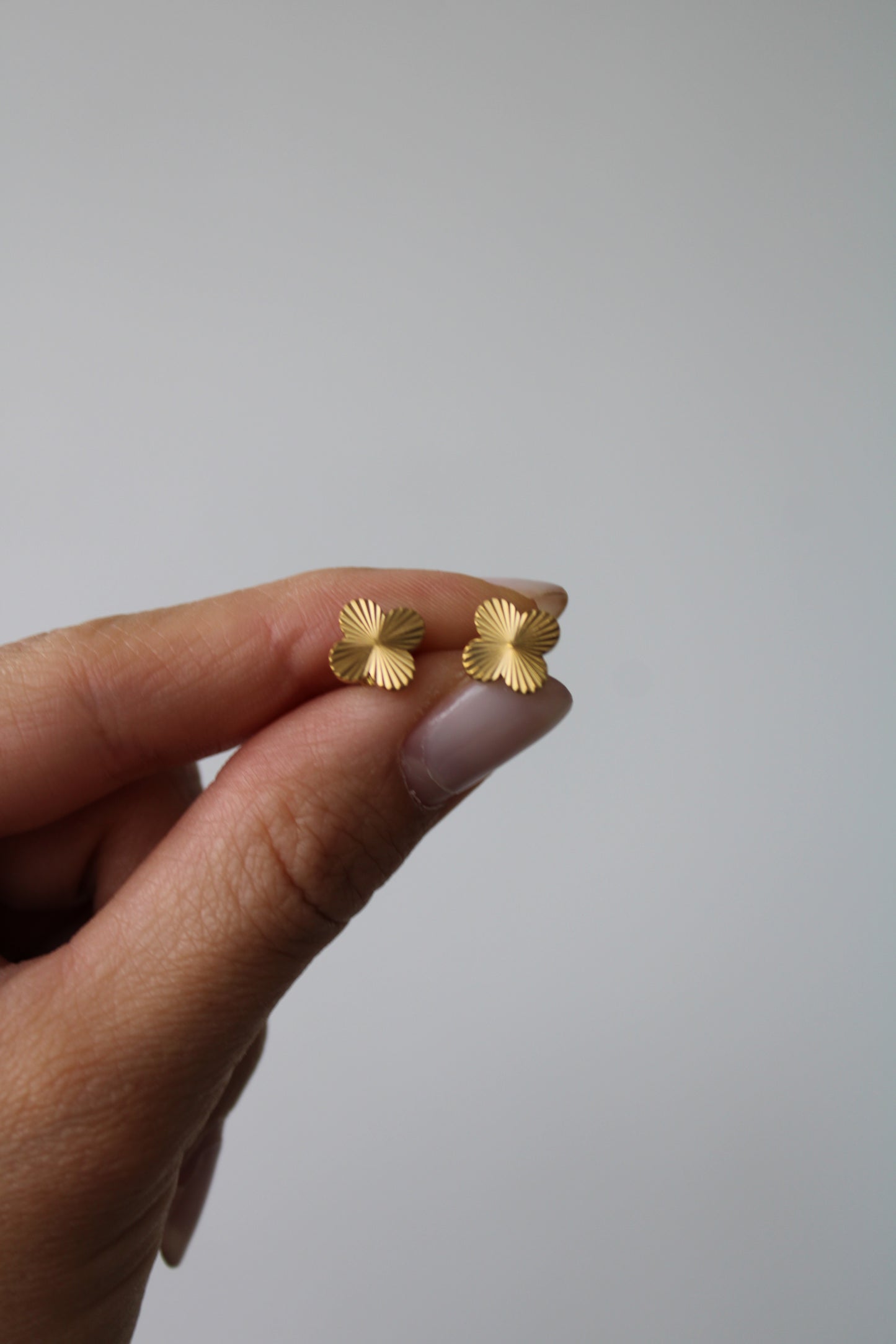 Pendientes Clovi
