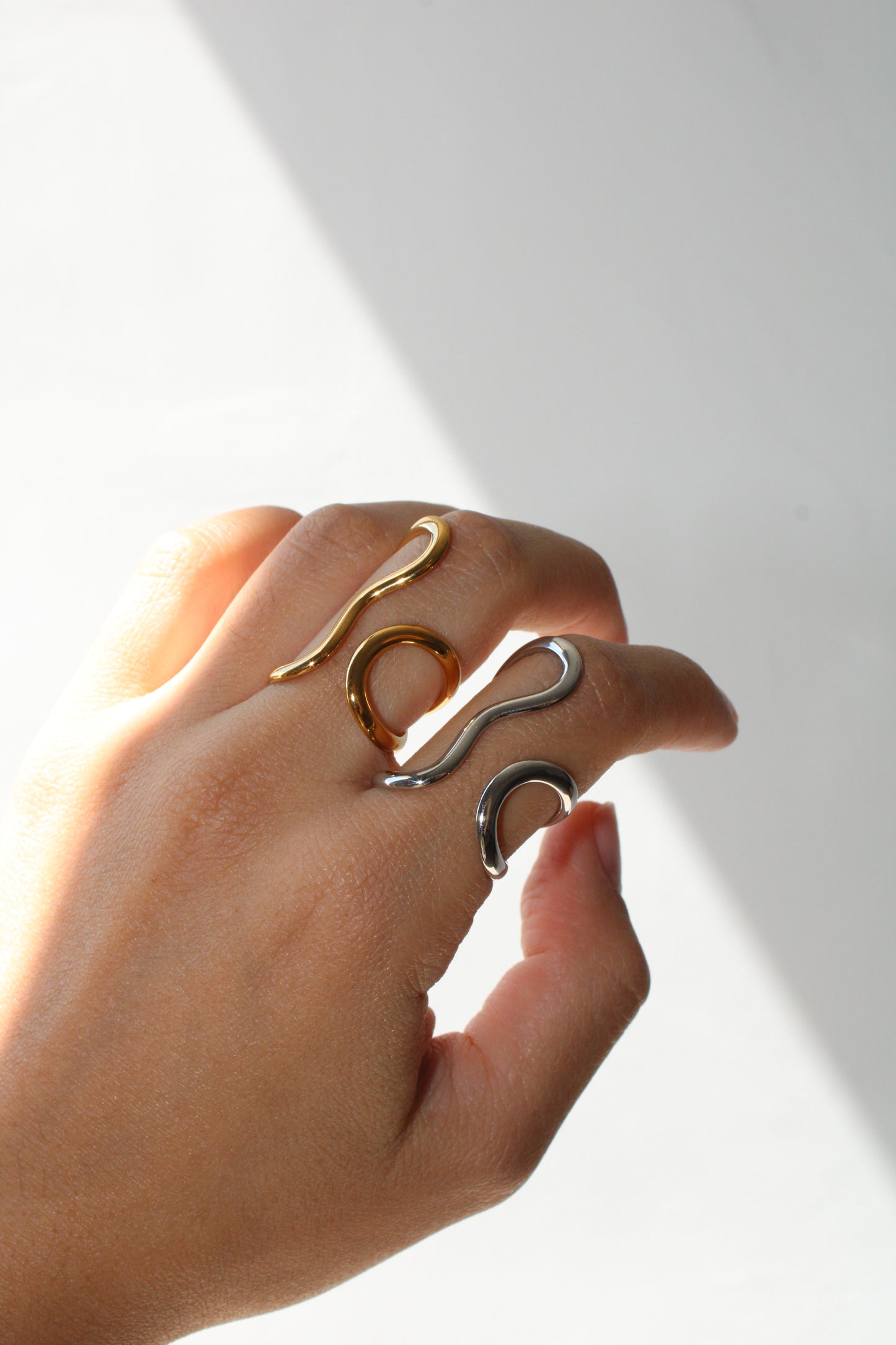 Anillo Meta