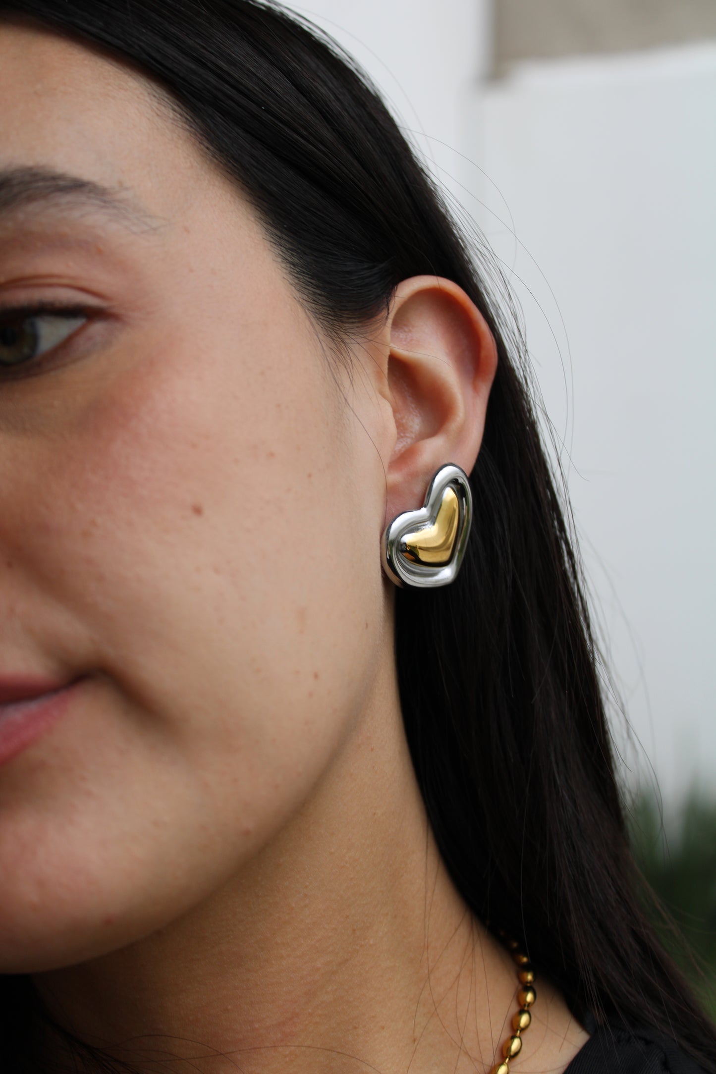 Pendientes Vida