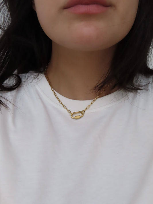 Collar Salva