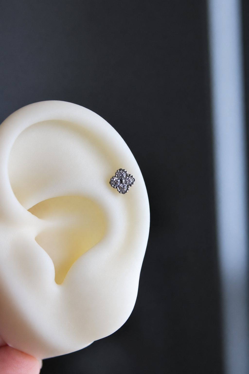 Piercing Titanio ASTM F136 (plata)