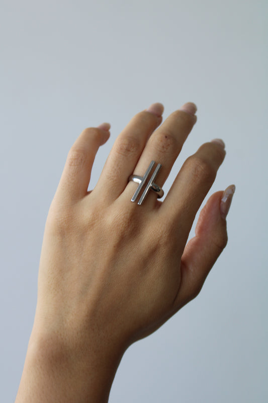 Anillo Guía