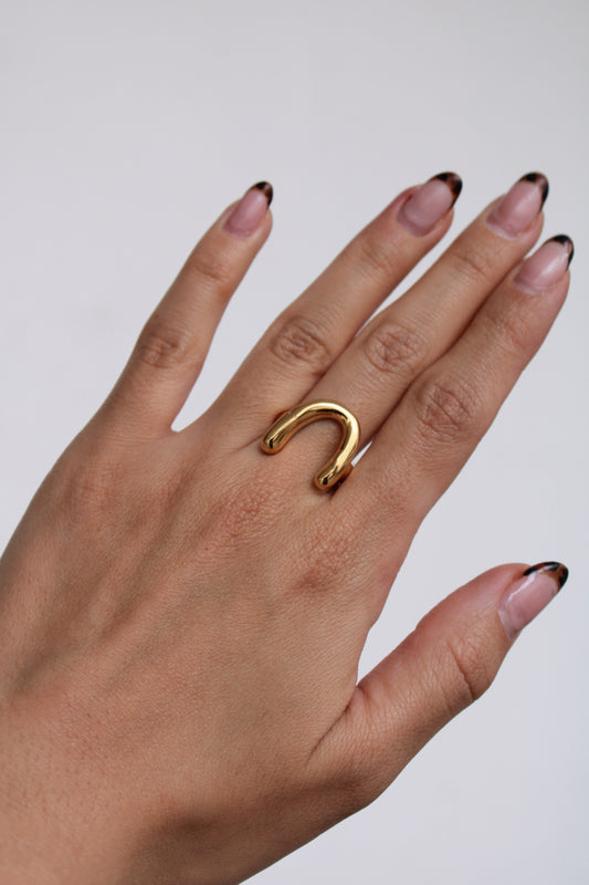 Anillo Herradura