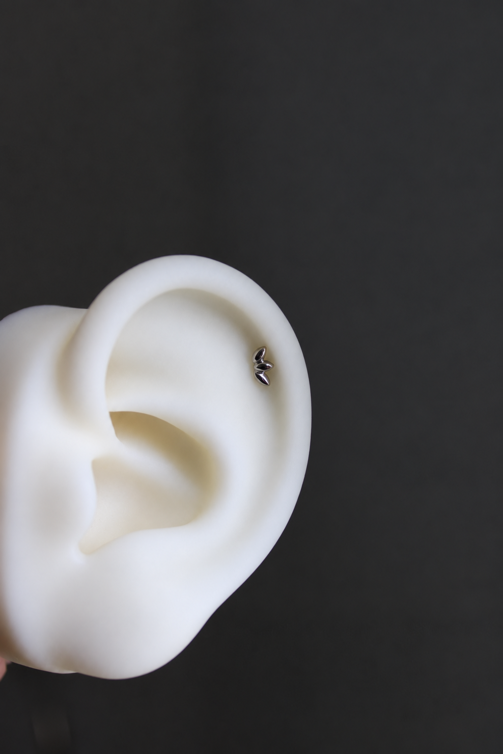Piercing Titanio ASTM F136 (plata)