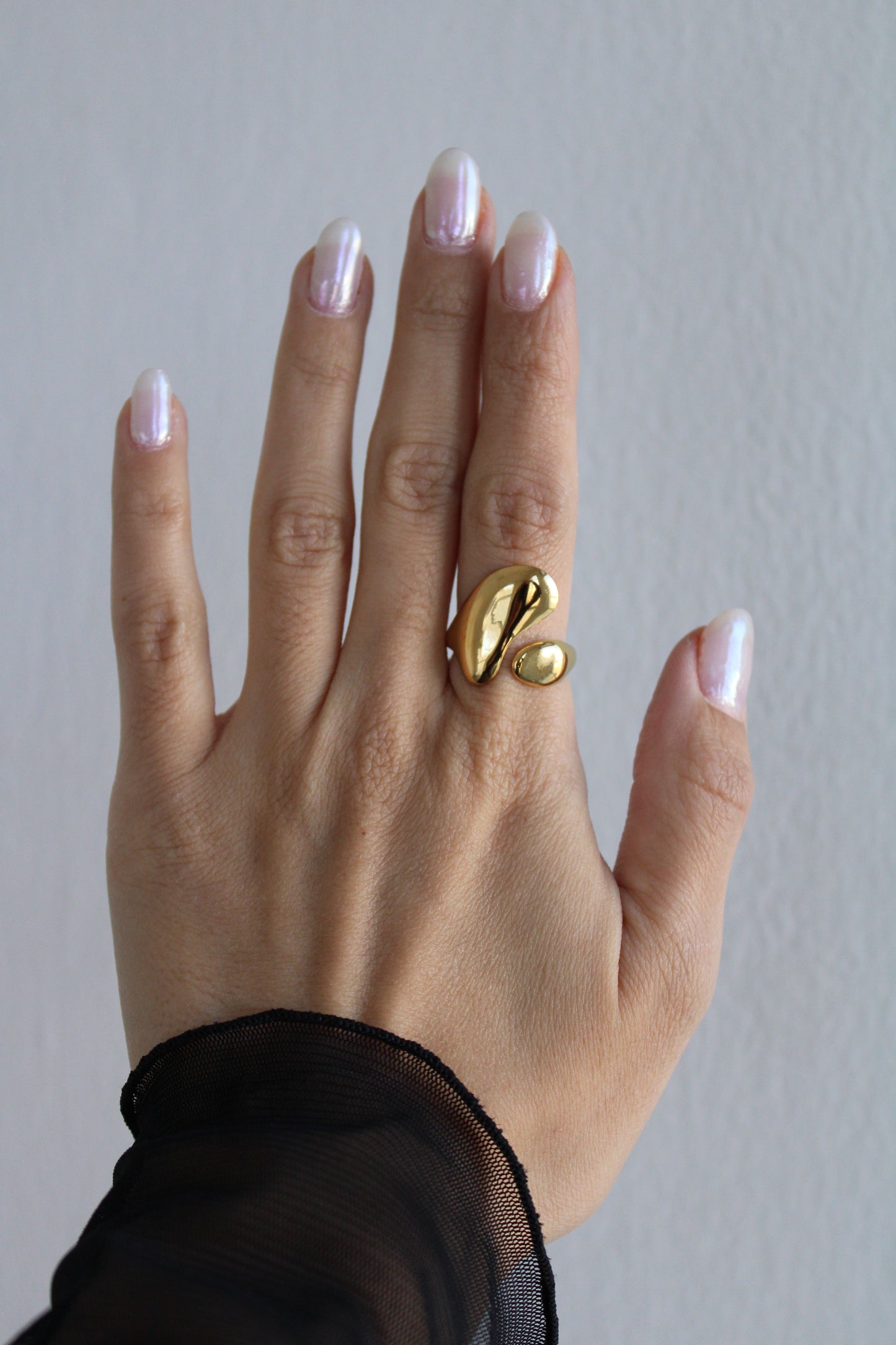 Anillos Gis